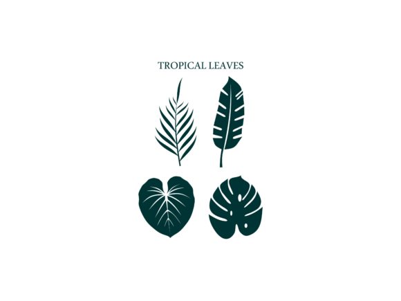 4 Set of Tropical Leaves for Stunning Designs