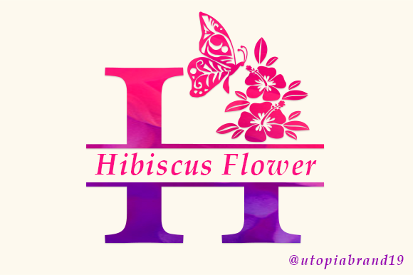 Hibiscus Flower Monogram: Elevating Visual Identity with Ornate Typography